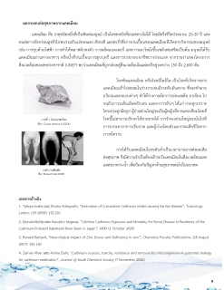 ไฟล์แนบ รายงานความเชื่อมั่นคุณภาพน้ำประปา ประจำปี 2567
