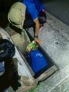 ไฟล์แนบ กปภ.สาขาพัทลุง ร่วมกิจกรรมโครงการ STEP TEST DAY#2 "LEAK รั่ว ไม่หลีกเลี่ยง" ประจำปี 2568