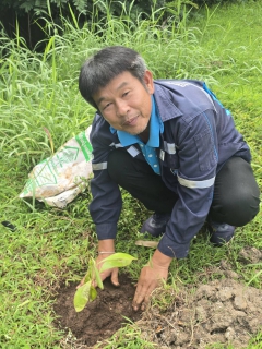 ไฟล์แนบ กปภ.สาขาภูเก็ต ดำเนินโครงการ กปภ.ปลูกป่าเพื่อแผ่นดิน เทิดพระเกียรติ พระบาทสมเด็จพระบรมชนกาธิเบศร มหาภูมิพลอดุลยเดชมหาราช บรมนาถบพิตร (Fathers Land) ปี 2568