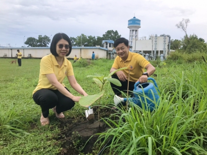 ไฟล์แนบ กปภ.สาขาพัทยา(พ) เข้าร่วม กปภ.โครงการปลูกป่าเพื่อแผ่นดิน ปี 2568 ณ สถานีผลิตน้ำมาบประชัน 