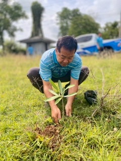 ไฟล์แนบ โครงการ กปภ.ปลูกป่าเพื่อแผ่นดิน