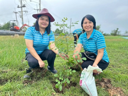 ไฟล์แนบ กปภ.สาขาพนัสนิคม จัดกิจกรรมโครงการ กปภ.ปลูกป่าเพื่อแผ่นดิน เทิดพระเกียรติพระบาทสมเด็จพระบรมชนกาธิเบศร มหาภูมิพลอดุลยเดชมหาราช บรมนาถบพิตร ประจำปี 2568