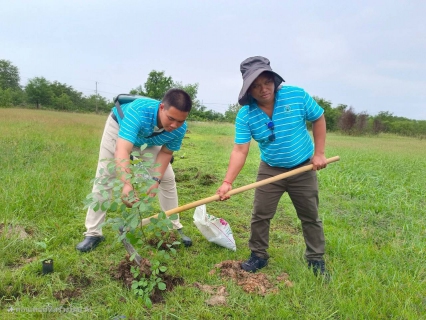 ไฟล์แนบ กปภ.สาขาพนัสนิคม จัดกิจกรรมโครงการ กปภ.ปลูกป่าเพื่อแผ่นดิน เทิดพระเกียรติพระบาทสมเด็จพระบรมชนกาธิเบศร มหาภูมิพลอดุลยเดชมหาราช บรมนาถบพิตร ประจำปี 2568