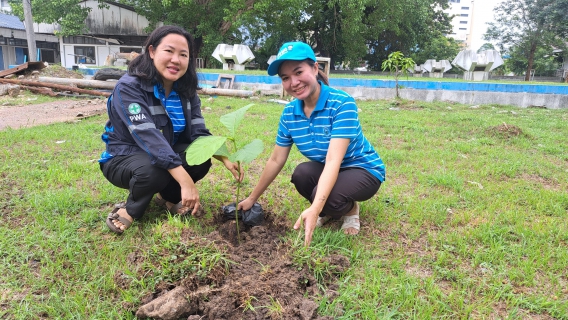 ไฟล์แนบ กปภ.สาขาฉะเชิงเทราจัดโครงการ กปภ.ปลูกป่าเพื่อแผ่นดิน เทิดพระเกียรติพระบาทสมเด็จพระบรมชนกาธิเบศร มหาภูมิพลอดุลยเดชมหาราช บรมนาถบพิตร (Fathers Land) ปี 2568