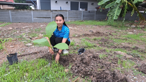 ไฟล์แนบ กปภ.สาขาฉะเชิงเทราจัดโครงการ กปภ.ปลูกป่าเพื่อแผ่นดิน เทิดพระเกียรติพระบาทสมเด็จพระบรมชนกาธิเบศร มหาภูมิพลอดุลยเดชมหาราช บรมนาถบพิตร (Fathers Land) ปี 2568