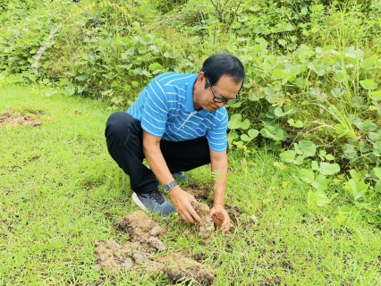 ไฟล์แนบ กปภ.สาขากระบี่ จัดโครงการ กปภ.ปลูกป่าเพื่อแผ่นดิน เทิดพระเกียรติพระบาทสมเด็จพระบรมชนกาธิเบศร มหาภูมิพลอดุลยเดชมหาราช บรมนาถบพิตร (Fathers Land) ปี 2568