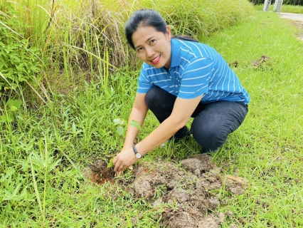 ไฟล์แนบ กปภ.สาขากระบี่ จัดโครงการ กปภ.ปลูกป่าเพื่อแผ่นดิน เทิดพระเกียรติพระบาทสมเด็จพระบรมชนกาธิเบศร มหาภูมิพลอดุลยเดชมหาราช บรมนาถบพิตร (Fathers Land) ปี 2568