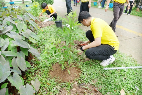 ไฟล์แนบ กปภ.สาขาปักธงชัย จัดโครงการ กปภ.ปลูกป่าเพื่อแผ่นดิน ประจำปี 2568