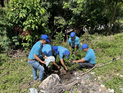 ไฟล์แนบ การประปาส่วนภูมิภาคสาขาเกาะพะงัน จัดโครงการ กปภ.ปลูกป่าเพื่อแผ่นดิน เทิดพระเกียรติพระบาทสมเด็จพระบรมชนกาธิเบศร มหาภูมิพลอดุลยเดชมหาราช บรมนาถบพิตร (Fathers Land) ปี 2568