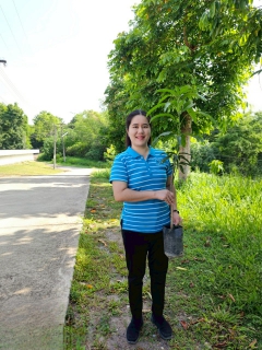 ไฟล์แนบ การประปาส่วนภูมิภาคสาขาแม่ริม ร่วมจัดกิจกรรมโครงการ กปภ.ปลูกป่าเพื่อแผ่นดิน เทิดพระเกียรติพระบาทสมเด็จพระบรมชนกาธิเบศร มหาภูมิพลอดุลยเดชมหาราช บรมนาถบพิตร (Fathers Land) ปี 2568