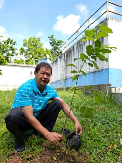 ไฟล์แนบ การประปาส่วนภูมิภาคสาขาแม่ริม ร่วมจัดกิจกรรมโครงการ กปภ.ปลูกป่าเพื่อแผ่นดิน เทิดพระเกียรติพระบาทสมเด็จพระบรมชนกาธิเบศร มหาภูมิพลอดุลยเดชมหาราช บรมนาถบพิตร (Fathers Land) ปี 2568