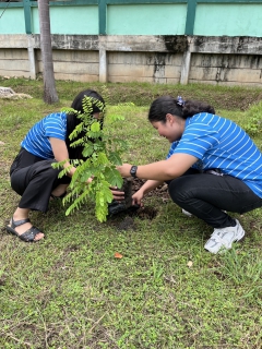 ไฟล์แนบ โครงการ กปภ.ปลูกป่าเพื่อแผ่นดิน เทิดพระเกียรติพระบาทสมเด็จพระบรมชนกาธิเบศรมหาภูมิพลอดุลยเดชมหาราช บรมนาถบพิตร ปี 2568