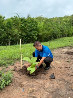 ไฟล์แนบ การประปาส่วนภูมิภาคสาขาลำปางดำเนินโครงการ กปภ. ปลูกป่าเพื่อแผ่นดิน เทิดพระเกียรติพระบาทสมเด็จพระบรมชนกาธิเบศร มหาภูมิพลอดุลยเดชมหาราช บรมนาถบพิตร (Fathers Land)และวันปลูกต้นไม้ของชาติ ประจำปี ๒๕๖๘