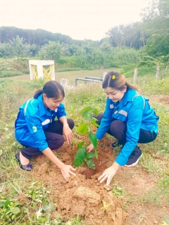 ไฟล์แนบ การประปาส่วนภูมิภาคสาขาทุ่งสง จัดกิจกรรม "กปภ. ปลูกป่าเพื่อแผ่นดิน" เทิดพระเกียรติพระบาทสมเด็จพระบรมชนกาธิเบศร มหาภูมิพลอดุลยเดชมหาราช บรมนาถบพิตร ประจำปี 2568