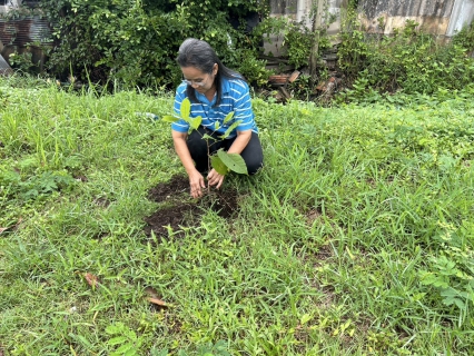 ไฟล์แนบ กปภ.สาขาปากพนัง จัดกิจกรรม โครงการ กปภ.ปลูกป่าเพื่อแผ่นดิน เทิดพระเกียรติพระบาทสมเด็จ พระบรมชนกาธิเบศร มหาภูมิพลอดุลยเดชมหาราช บรมนาถบพิตร ปี 2568  