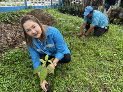 ไฟล์แนบ กปภ.สาขาปากพนัง จัดกิจกรรม โครงการ กปภ.ปลูกป่าเพื่อแผ่นดิน เทิดพระเกียรติพระบาทสมเด็จ พระบรมชนกาธิเบศร มหาภูมิพลอดุลยเดชมหาราช บรมนาถบพิตร ปี 2568  