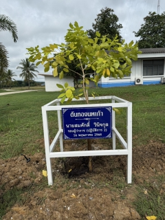 ไฟล์แนบ กปภ.สาขาเลย ร่วมกิจกรรม "ปลูกป่าเพื่อแผ่นดิน เทิดพระเกียรติฯ"  สืบสานพระราชปณิธานด้านสิ่งแวดล้อม