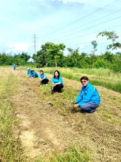 ไฟล์แนบ การประปาส่วนภูมิภาคสาขาปากน้ำประแสร์ ดำเนินโครงการปลูกป่าเพื่อแผ่นดิน