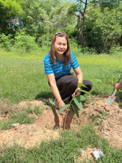 ไฟล์แนบ การประปาส่วนภูมิภาคสาขาบ้านไผ่ ร่วมจัดกิจกรรมโครงการ กปภ.ปลูกป่าเพื่อแผ่นดิน เทิดพระเกียรติพระบาทสมเด็จพระบรมชนกาธิเบศร มหาภูมิพลอดุลยเดชมหาราช บรมนาถบพิตร (Fathers Land) ปี 2568
