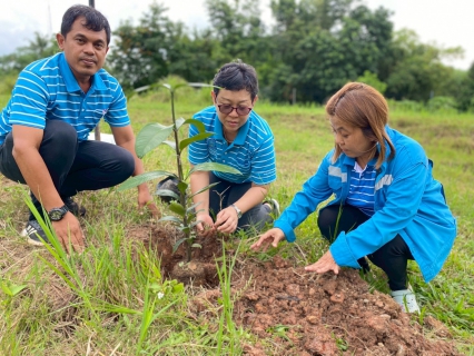 ไฟล์แนบ กปภ.สาขาชะอวดจัดกิจกรรมปลูกต้นไม้ภายใต้โครงการปลูกป่าเพื่อแผ่นดิน