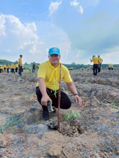 ไฟล์แนบ ภาพประกอบกิจกรรม