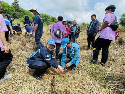 ไฟล์แนบ กปภ.สาขาพัทยา (พ) ร่วมกิจกรรมโครงการ มือเล็ก เปลี่ยนโลกใบใหญ่