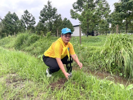 ไฟล์แนบ กปภ.สาขาขลุง เข้าร่วมกิจกรรมจิตอาสาพัฒนาเนื่องในวันสำคัญของชาติไทย ประจำเดือนสิงหาคม 2568