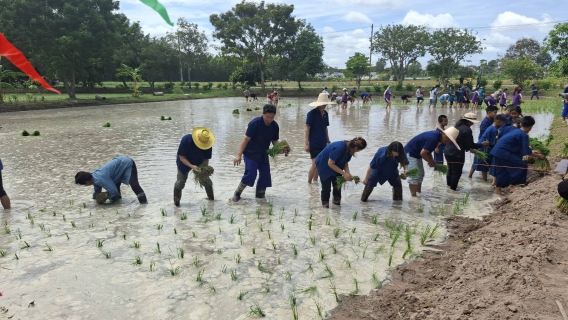 ไฟล์แนบ การประปาส่วนภูมิภาคสาขาแหลมฉบัง สนับสนุนน้ำดื่มบรรจุขวด โครงการส่งเสริมประเพณีดำนาในเขตเทศบาลนครแหลมฉบัง (วันสาธิตชวนเด็กไทย ปลูกข้าว ปลูกใจ สืบสานอาชีพการทำนาให้ยั่งยืน ประจำปี 2568)