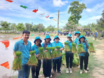 ไฟล์แนบ การประปาส่วนภูมิภาคสาขาแหลมฉบัง สนับสนุนน้ำดื่มบรรจุขวด โครงการส่งเสริมประเพณีดำนาในเขตเทศบาลนครแหลมฉบัง (วันสาธิตชวนเด็กไทย ปลูกข้าว ปลูกใจ สืบสานอาชีพการทำนาให้ยั่งยืน ประจำปี 2568)
