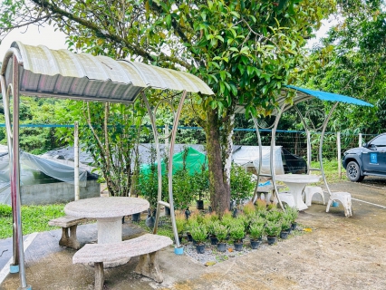 ไฟล์แนบ การประปาส่วนภูมิภาคสาขาตะกั่วป่า ร่วมจัดกิจกรรม "Big Cleaning Day" ครั้งที่ 4/2568
