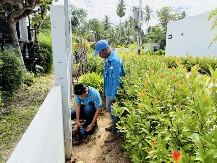 ไฟล์แนบ กปภ.สาขาเกาะพะงัน ร่วมกันลงพื้นที่จัดกิจกรรม เติมใจให้กัน ครั้งที่ 4/2568 พื้นที่ บ้านหาดยาว ม.8 ต.เกาะพะงัน อ.เกาะพะงัน จ.สุราษฎร์ธานี
