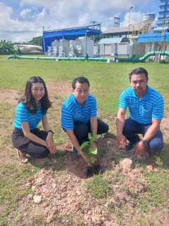 ไฟล์แนบ กปภ.สาขากำแพงเพชร ร่วมกิจกรรม "วันรักต้นไม้ประจำปีของชาติ พ.ศ. 2568" น้อมรำลึกถึงสมเด็จย่า และสร้างจิตสำนึกรักทรัพยากรป่าไม้
