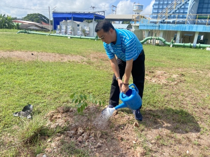 ไฟล์แนบ กปภ.สาขากำแพงเพชร ร่วมกิจกรรม "วันรักต้นไม้ประจำปีของชาติ พ.ศ. 2568" น้อมรำลึกถึงสมเด็จย่า และสร้างจิตสำนึกรักทรัพยากรป่าไม้