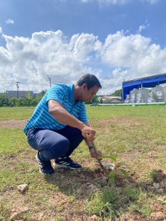 ไฟล์แนบ กปภ.สาขากำแพงเพชร ร่วมกิจกรรม "วันรักต้นไม้ประจำปีของชาติ พ.ศ. 2568" น้อมรำลึกถึงสมเด็จย่า และสร้างจิตสำนึกรักทรัพยากรป่าไม้