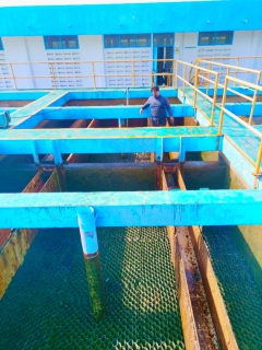 ไฟล์แนบ การประปาส่วนภูมิภาคสาขาบ้านไผ่ ดำเนินการล้างถังตกตะกอน ภายใต้โครงการ บริหารจัดการน้ำสะอาด Water Safety Plan ณ สถานีผลิตน้ำทุ่งมน อ.บ้านไผ่ จ.ขอนแก่น