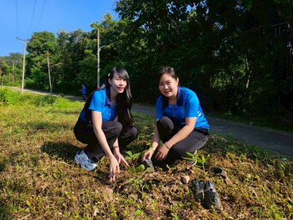 ไฟล์แนบ การประปาส่วนภูมิภาคสาขาแม่ริม จัดกิจกรรม "วันรักต้นไม้ประจำปีของชาติ พ.ศ.2568"