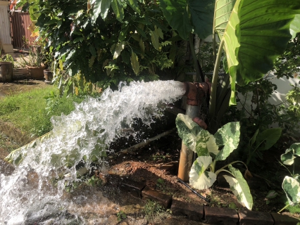 ไฟล์แนบ กปภ.สาขากระบี่ ดำเนินการตามแผนงานบริการและควบคุมน้ำสูญเสีย โบล์วน้ำเพื่อระบายตะกอนในเส้นท่อ บริเวณพื้นที่ บ้านหนองกก และ ริมชล ตำบลไสไทย  อำเภอเมืองกระบี่ จังหวัดกระบี่