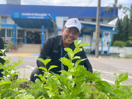 ไฟล์แนบ  กปภ.สาขาหาดใหญ่ (พ) จัดกิจกรรม  วันรักต้นไม้ประจำปีของชาติประจำปี 2568