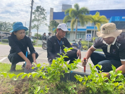ไฟล์แนบ  กปภ.สาขาหาดใหญ่ (พ) จัดกิจกรรม  วันรักต้นไม้ประจำปีของชาติประจำปี 2568