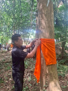 ไฟล์แนบ การประปาส่วนภูมิภาคสาขาอ่าวลึก  เข้าร่วมกิจกรรมวันรักตันไม้ประจำปีของชาติ พ.ศ.2568 ณ บริเวณพื้นที่ต้นไม้ทรงปลูก ในเขตป่าชุมชนบ้านทุ่งสูง ตำบลเขาใหญ่ อำเภออ่าวลึก จังหวัดกระบี่