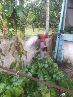 ไฟล์แนบ การประปาส่วนภูมิภาคสาขากาญจนดิษฐ์ นำทีมลงพื้นที่บริเวณบ้านผู้ใช้น้ำ  หมู่ที่ 2 ต.ทุ่งกง อ.กาญจนดิษฐ์ จ.สุราษฎร์ธานี ดำเนินการเปิดล้างระบายตะกอนในเส้นท่อจ่ายน้ำ (Blow off) ผ่านหัวดับเพลิง