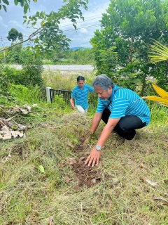 ไฟล์แนบ กปภ.สาขานราธิวาส จัดกิจกรรมปลูกต้นไม้ เนื่องในวันรักต้นไม้ประจำปีของชาติ พ.ศ.2568