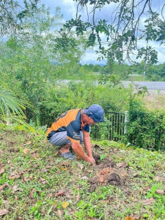 ไฟล์แนบ กปภ.สาขานราธิวาส จัดกิจกรรมปลูกต้นไม้ เนื่องในวันรักต้นไม้ประจำปีของชาติ พ.ศ.2568
