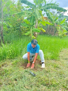 ไฟล์แนบ กปภ.สาขานราธิวาส จัดกิจกรรมปลูกต้นไม้ เนื่องในวันรักต้นไม้ประจำปีของชาติ พ.ศ.2568