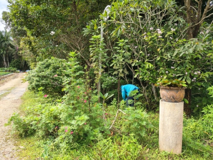 ไฟล์แนบ การประปาส่วนภูมิภาคสาขาคลองท่อมลงพื้นที่สุ่มอ่านมาตรออนไลน์ ผ่านระบบแผนที่และการสุ่มอ่านมาตร