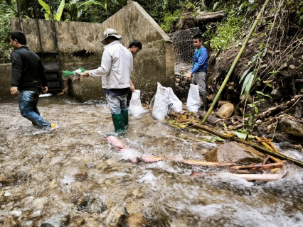 ไฟล์แนบ กปภ.สาขาแม่สอด ร่วมสนันสนุนกระสอบสารส้มเพื่อใช้ซ่อมแซมฝายชำรุด