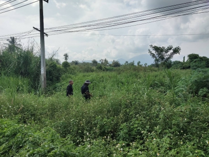 ไฟล์แนบ กปภ.สาขากระบี่ ลงพื้นที่สำรวจหาท่อแตกท่อรั่วเชิงรุก (ALC) บริเวณพื้นที่ บ้านน้ำขาว ตำบลเขาพนม อำเภอเขาพนม จังหวัดกระบี่ 