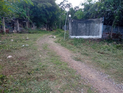 ไฟล์แนบ จัดกิจกรรม Big Cleaning Day ปรับปรุงพื้นที่ภูมิทัศน์ 