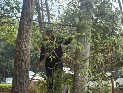 ไฟล์แนบ กปภ.สาขาหลังสวน เข้าร่วมกิจกรรมจิตอาสาบำเพ็ญสาธารณประโยชน์และบำเพ็ญสาธารณกุศล เนื่องในโอกาสวันคล้ายวันสวรรคต พระบาทสมเด็จพระมงกุฎเกล้าเจ้าอยู่หัว และเนื่องในโอกาสวันประสูติ สมเด็จพระเจ้าภคินีเธอ เจ้าฟ้าเพชรรัตนราชสุดา สิริโสภาพัณณวดี
