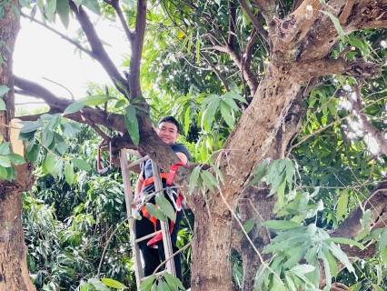 ไฟล์แนบ กปภ.สาขาวัฒนานคร จัดกิจกรรม  Big Cleaning Day 